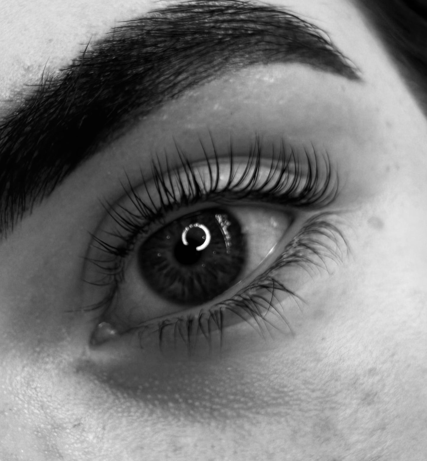 Korean Lash Lift Masterclass